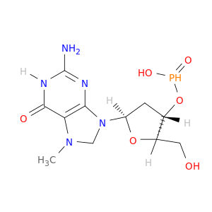 3'-Guanylic acid,2'-deoxy-7-methyl-, inner salt (9CI)