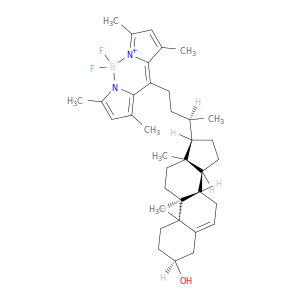 四氟硼酸(T-4)-[(3β)-24-(3,5-二甲基-1H-吡咯-2-基-κN)-24-(3,5-二甲基-2H-吡咯-2-亚基-κN)胆-5-烯-3-醇酸盐]