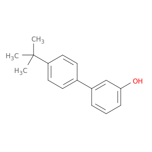 3-(4-t-butylphenyl)phenol