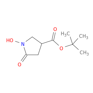tert-Butyl 1-hydroxy-5-oxopyrrolidine-3-carboxylate