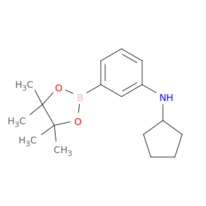 3-环戊氨基苯硼酸频哪醇酯