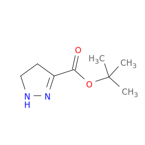 1H-Pyrazole-3-carboxylic acid, 4,5-dihydro-, 1,1-dimethylethyl ester