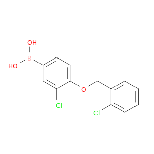 3-氯-4-(2'-氯苄氧基)苯基硼酸
