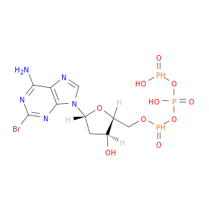 Adenosine5'-(tetrahydrogen triphosphate), 2-bromo-2'-deoxy- (9CI)