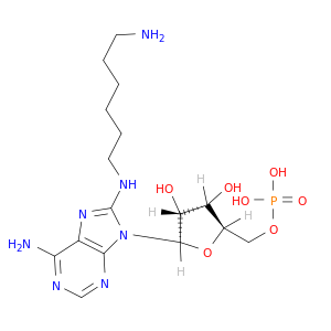 5'-Adenylic acid, 8-[(6-aminohexyl)amino]-