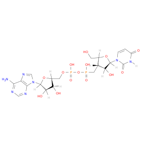 [[(2r,3s,4r,5r)-5-(6-aminopurin-9-yl)-3,4-dihydroxy-tetrahydrofuran-2-yl]methoxy-hydroxy-phosphoryl]oxy-[[(2s,3s,4r,5r)-5-(2,4-dioxopyrimidin-1-yl)-4-hydroxy-2-(hydroxymethyl)tetrahydrofuran-3-yl]methyl]phosphinic acid