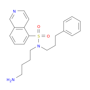 5-Isoquinolinesulfonamide, N-(4-aminobutyl)-N-(3-phenylpropyl)-