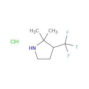 2,2-Dimethyl-3-(trifluoromethyl)pyrrolidine hydrochloride
