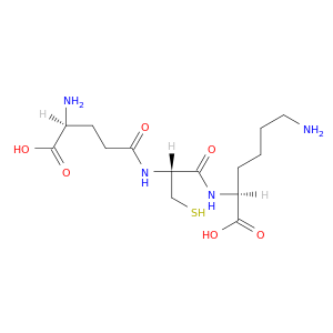 L-γ-Glutamyl-L-cysteinyl-L-lysine
