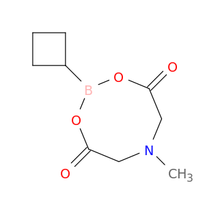 环丁基硼酸 MIDA 酯