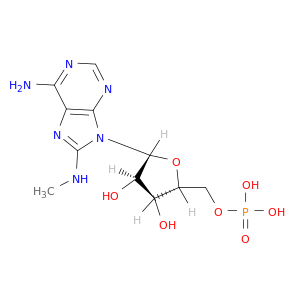 5'-Adenylic acid, 8-(methylamino)-