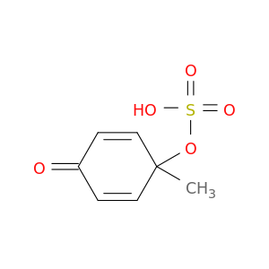 1-methyl-4-oxocyclohexa-2,5-dien-1-yl hydrogen sulfate