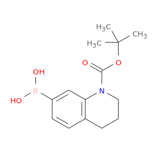 1-BOC-1,2,3,4-Tetrahydroquinoline-7-boronic acid