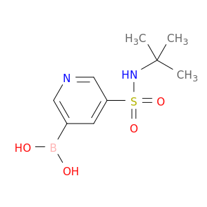 B-[5-[[(1,1-二甲基乙基)氨基]磺酰基]-3-吡啶]硼酸