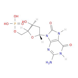 2'-脱氧-7,8-二氢-8-氧代-5'-胍基酸