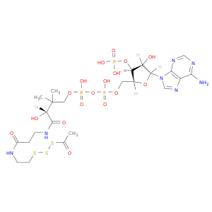Coenzyme A,S-ethane(dithioate) (9CI)
