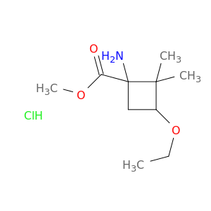 Methyl 1-Amino-3-ethoxy-2,2-dimethylcyclobutane-1-carboxylate Hydrochloride