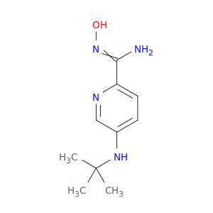 5-(tert-butylamino)-N'-hydroxypyridine-2-carboximidamide