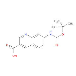 7-((tert-Butoxycarbonyl)amino)quinoline-3-carboxylic acid