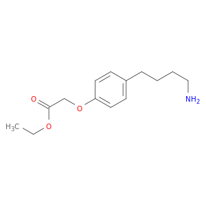 Acetic acid, [4-(4-aminobutyl)phenoxy]-, ethyl ester