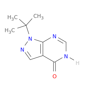 1-叔丁基-1H,4H,5H-吡唑并[3,4-d]嘧啶-4-酮