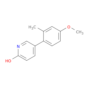 2-Hydroxy-5-(4-Methoxy-2-Methylphenyl)pyridine