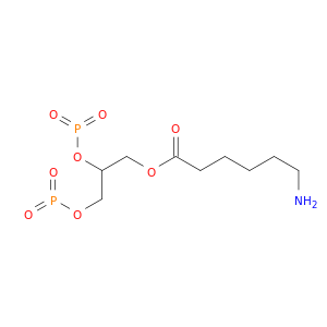 1-O-(6-AMINOHEXANOYL)-2,3-DIPHOSPHOGLYCEROL