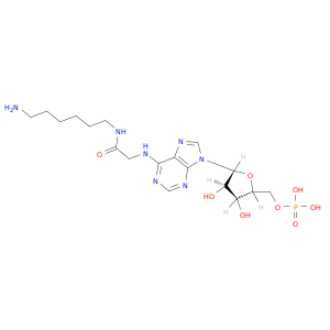5'-Adenylic acid, N-[2-[(6-aminohexyl)amino]-2-oxoethyl]-