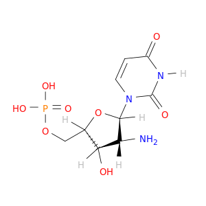 5'-Uridylic acid, 2'-amino-2'-deoxy-