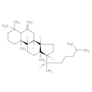 Cholestane, 4,4-dimethyl-6-methylene-