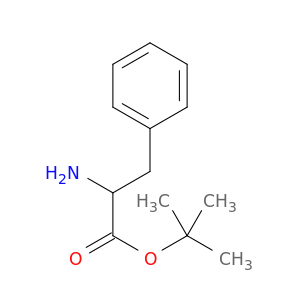 DL-苯丙氨酸叔丁酯