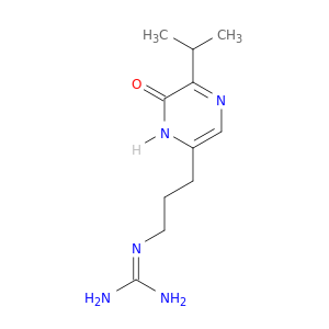 2-{3-[6-oxo-5-(propan-2-yl)-1,6-dihydropyrazin-2-yl]propyl}guanidine