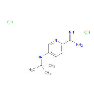 2-吡啶二羧酰亚胺酰胺,5-[(1,1-二甲基乙基)氨基]-,盐酸盐(1：2)