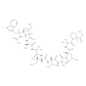 L-Proline,1-[N-[N-[N-[N-[N-[N-[N-[N-(N-acetyl-L-tryptophyl)-L-isoleucyl]-L-alanyl]-2-methylalanyl]-L-isoleucyl]-L-valyl]-2-methylalanyl]-L-leucyl]-2-methylalanyl]-,methyl ester (9CI)