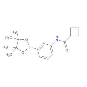 N-(3-(4,4,5,5-tetramethyl-1,3,2-dioxaborolan-2-yl)phenyl)cyclobutanecarboxamide