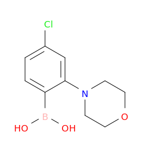 4-Chloro-2-morpholinophenylboronic acid
