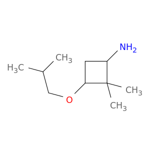 2,2-dimethyl-3-(2-methylpropoxy)cyclobutan-1-amine