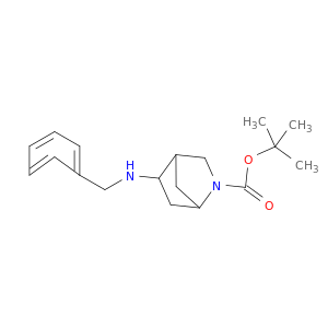 tert-Butyl 5-(benzylamino)-2-azabicyclo[2.2.1]heptane-2-carboxylate
