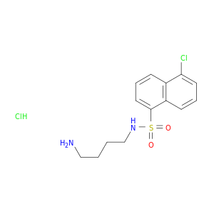 N-(4-氨基丁基)-5-氯-1-萘磺酰胺 盐酸盐