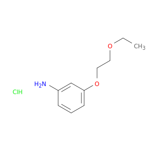 3-(2-乙氧基乙氧基)苯胺盐酸盐