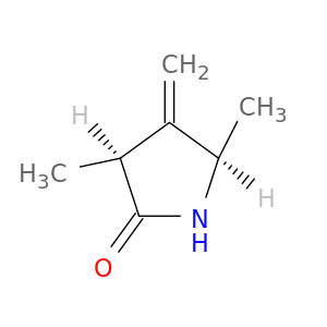 2-Pyrrolidinone, 3,5-dimethyl-4-methylene-, cis-