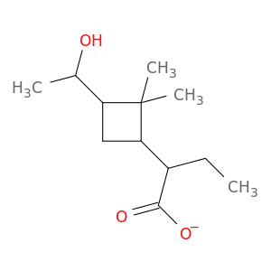ethyl[3-(1-hydroxyethyl)-2,2-dimethylcyclobutyl]acetate