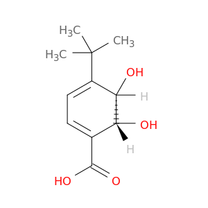 1,3-Cyclohexadiene-1-carboxylicacid, 4-(1,1-dimethylethyl)-5,6-dihydroxy-, (5S,6R)-