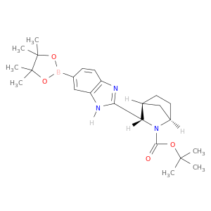 (1R,3S,4S)-3-(6-(4,4,5,5-四甲基-1,3,2-二氧杂硼杂环戊烷-2-基)-1H-苯并[d]咪唑-2-基)基)-2-氮杂二环[2.2.1]庚烷-2-羧酸叔丁酯