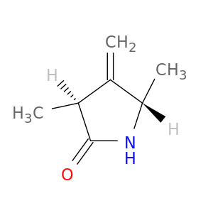 2-Pyrrolidinone, 3,5-dimethyl-4-methylene-, trans-