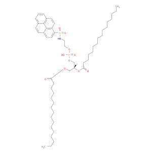 (2r)-2-(hexadecanoyloxy)-3-[(hydroxy{2-[(pyren-1-ylsulfonyl)amino]ethoxy}phosphoryl)oxy]propyl hexadecanoate