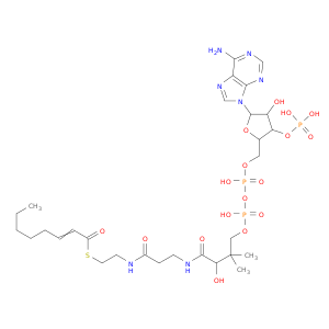 S-[2-[3-[[4-[[[5-(6-AMINOPURIN-9-YL)-4-HYDROXY-3-PHOSPHONOOXYOXOLAN-2-YL]METHOXY-HYDROXYPHOSPHORYL]OXY-HYDROXYPHOSPHORYL]OXY-2-HYDROXY-3,3-DIMETHYLBUTANOYL]AMINO]PROPANOYLAMINO]ETHYL] OCT-2-ENETHIOATE