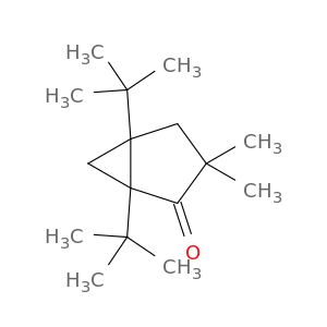 Bicyclo[3.1.0]hexan-2-one,1,5-bis(1,1-dimethylethyl)-3,3-dimethyl-