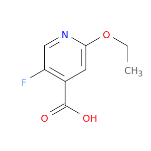 2-乙氧基-5-氟吡啶-4-羧酸