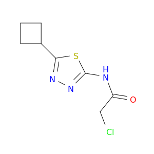 2-CHLORO-N-(5-CYCLOBUTYL-1,3,4-THIADIAZOL-2-YL)ACETAMIDE